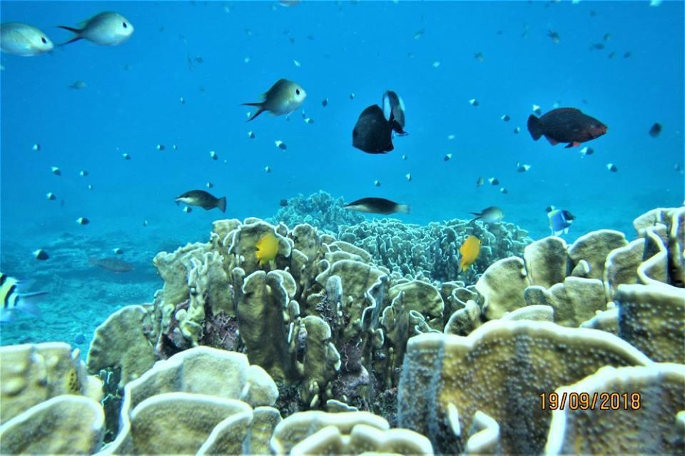 Pulau Weh Paradise Sabang  Exterior photo