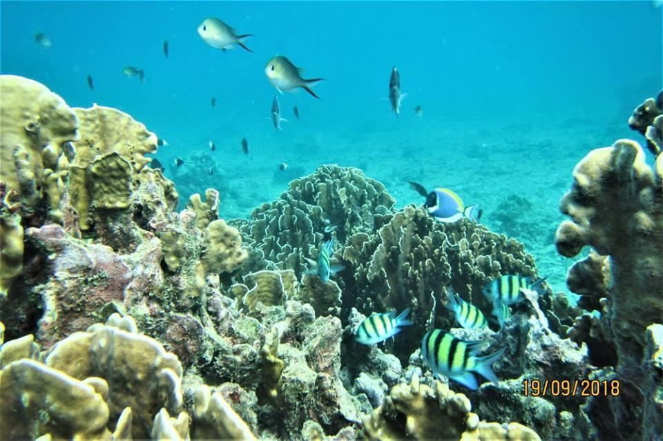 Pulau Weh Paradise Sabang  Exterior photo